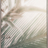 Gardiners Palms V (Canvas)