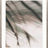 Gardiners Palms VI