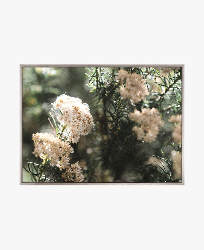 Gondwana Foliage I (Canvas)