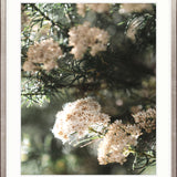 Gondwana Foliage I Small (465mm W x 560mm H) / Standard Clear Glass