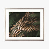 Gondwana Foliage II Small (465mm W x 560mm H) / Standard Clear Glass
