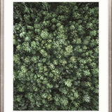 Gondwana Foliage III Small (465mm W x 560mm H) / Standard Clear Glass