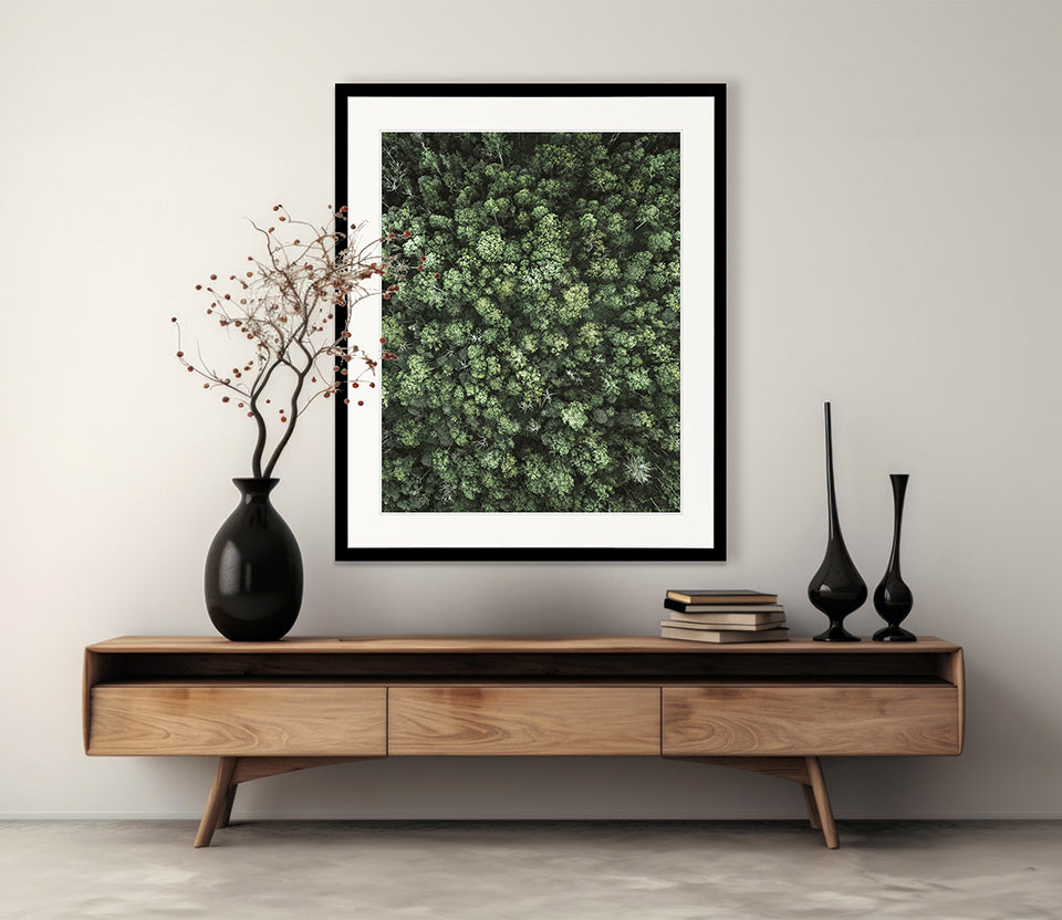 Gondwana Foliage III