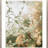 Gondwana Foliage IV Small (465mm W x 560mm H) / Standard Clear Glass