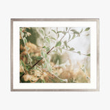 Gondwana Foliage IV Small (465mm W x 560mm H) / Standard Clear Glass