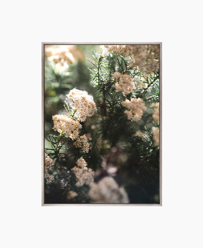 Gondwana Foliage V (Canvas)