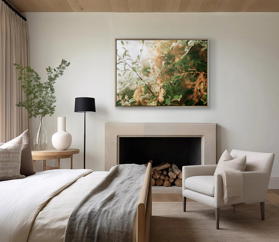 Gondwana Foliage VIII (Canvas)