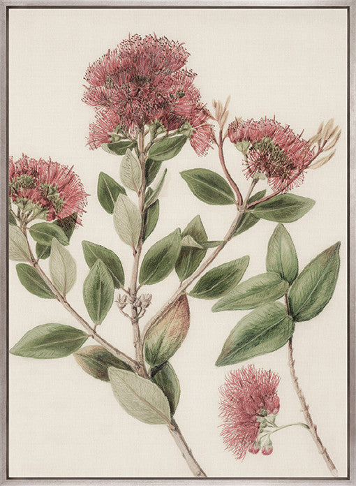 Hasting Native V (Canvas)