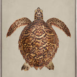 Majestic Turtle II (Canvas)