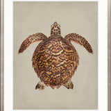 z. Majestic Turtle II