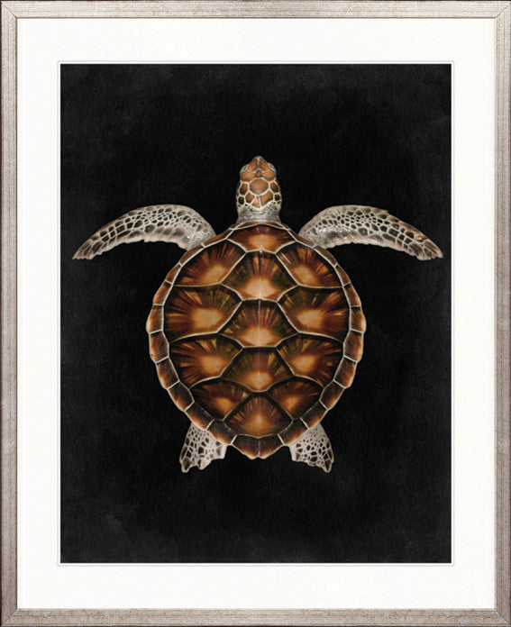 Majestic Turtle IV