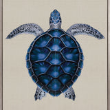 Majestic Turtle V (Canvas)