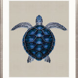 Majestic Turtle V