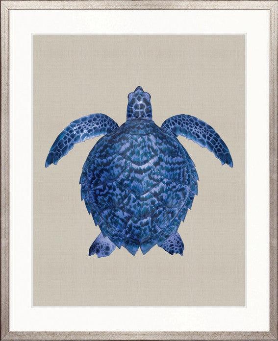 Majestic Turtle VI