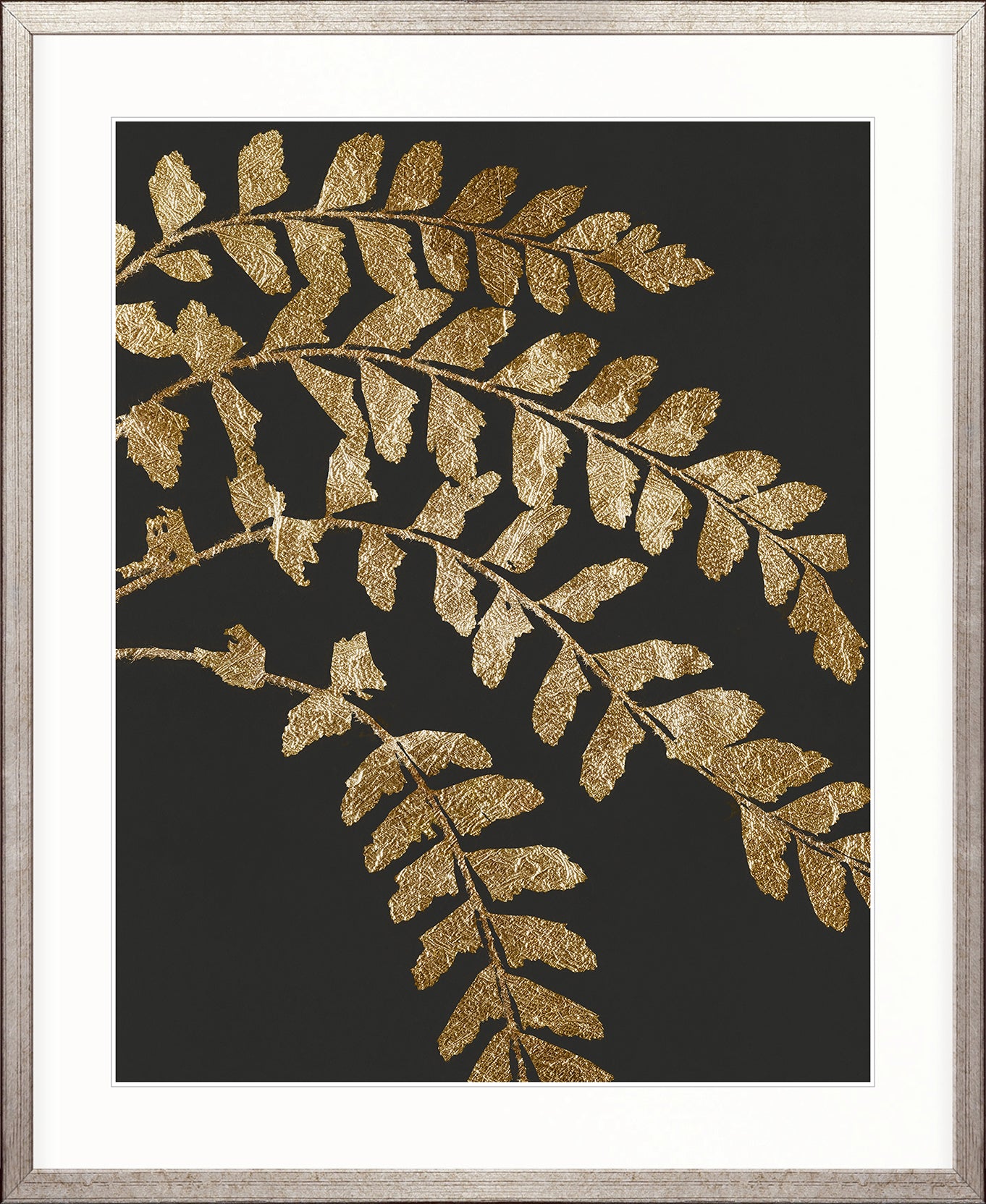 Herbarium II