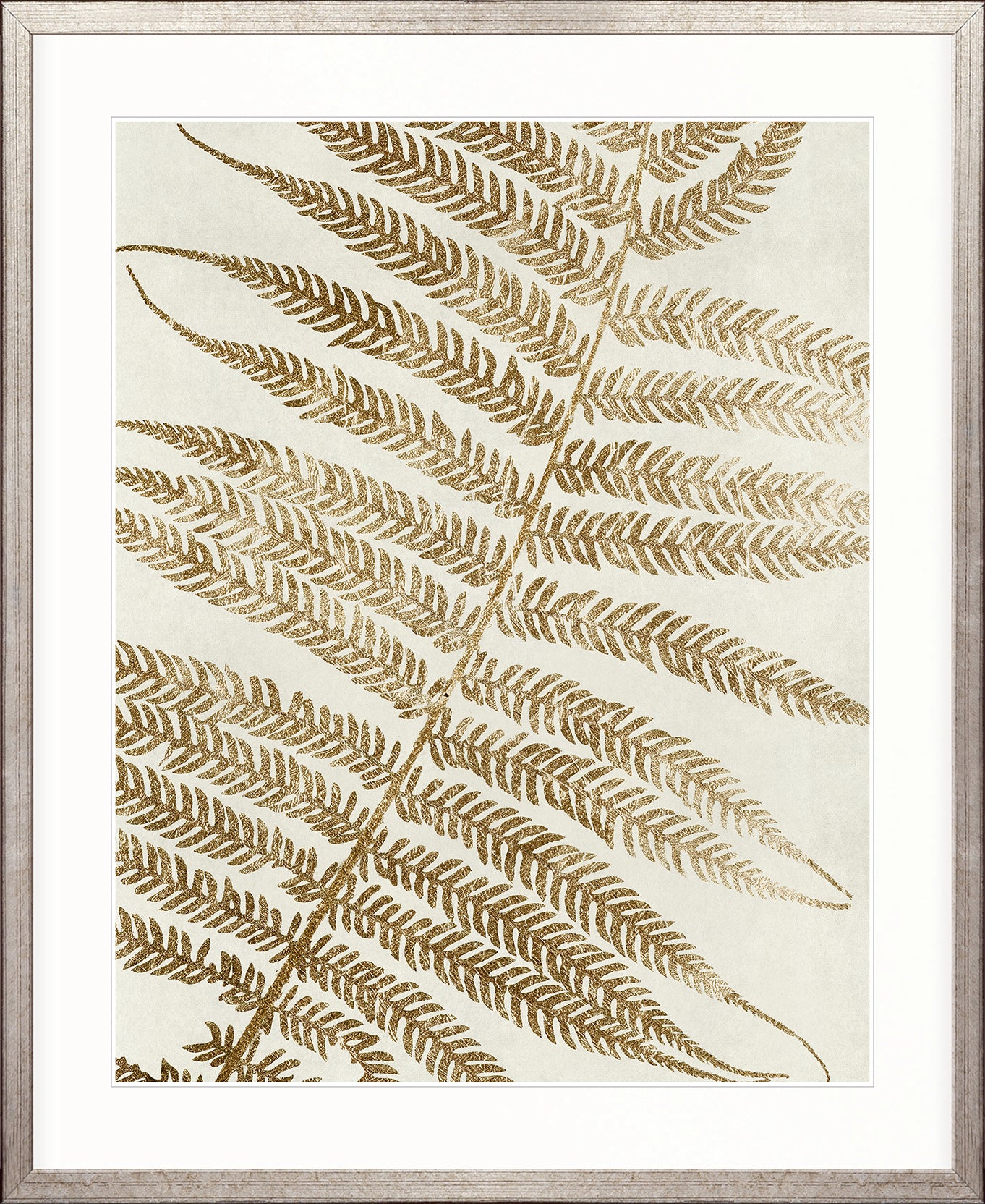 Herbarium V