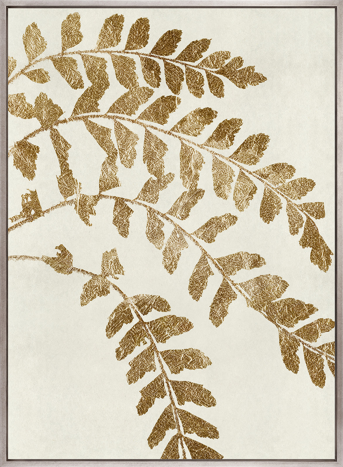 Herbarium VI (Canvas)