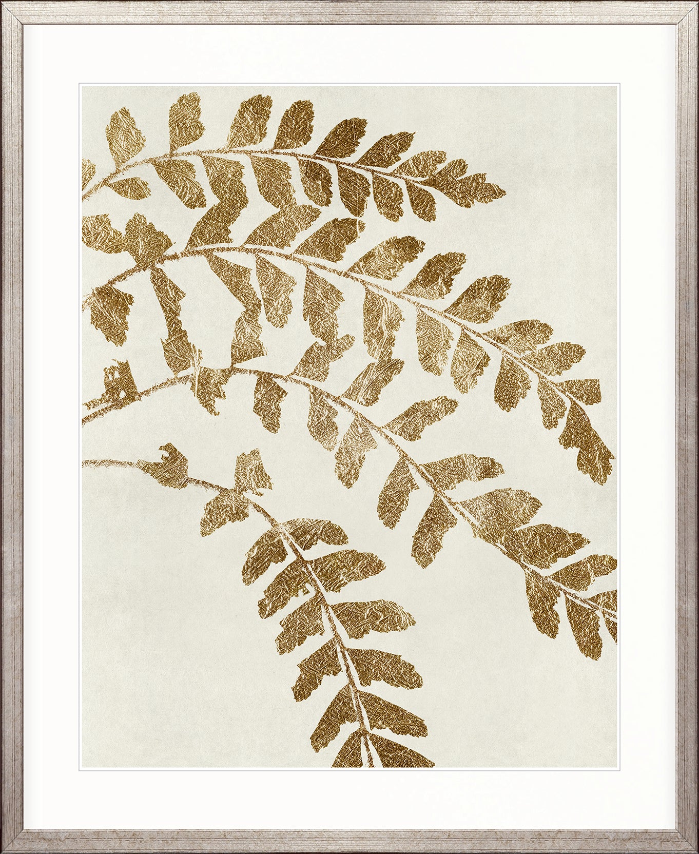 Herbarium VI