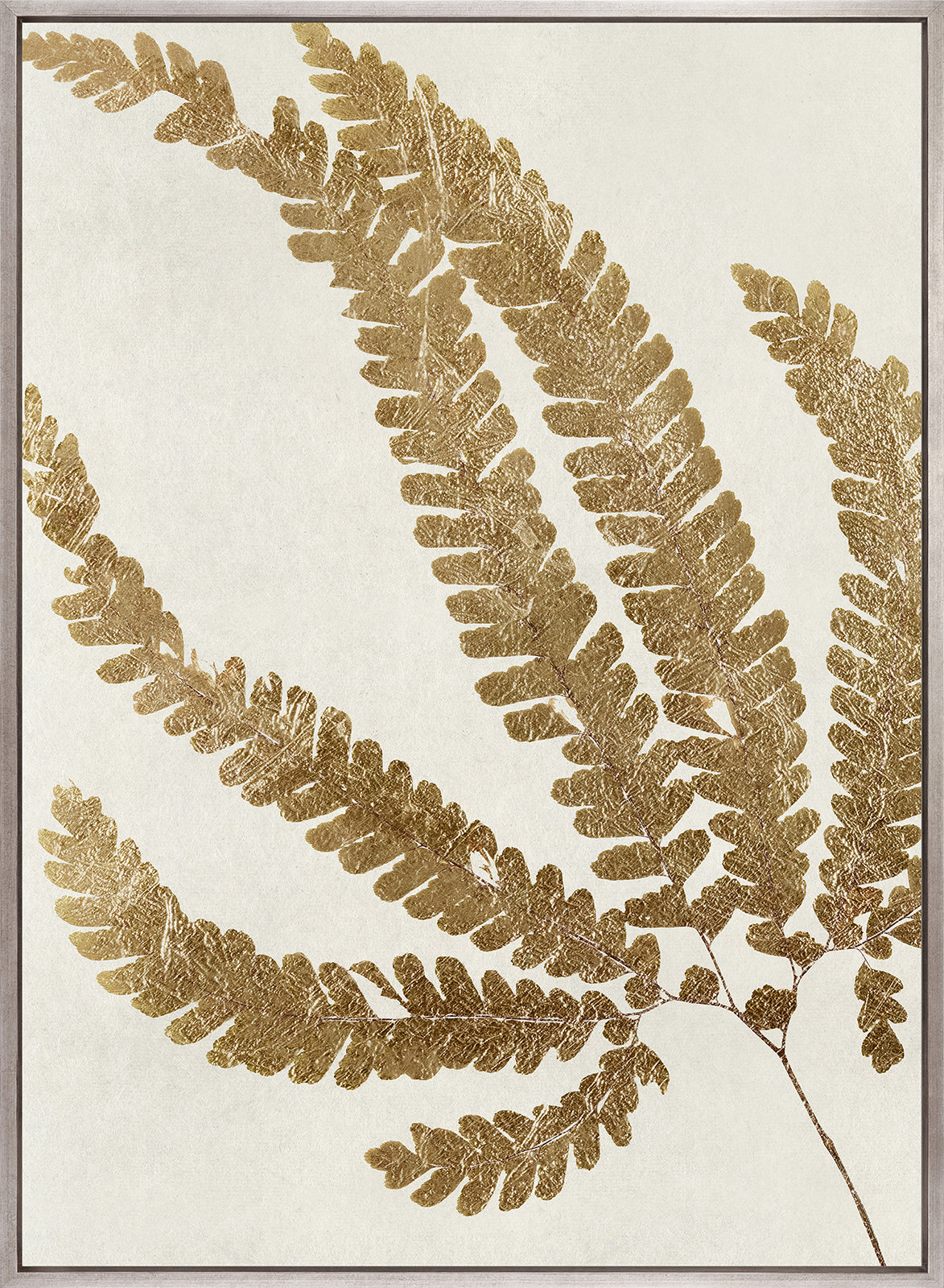 Herbarium VII (Canvas)