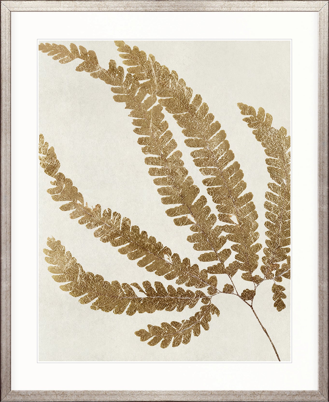 Herbarium VII
