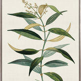 Floral Elegance II (Canvas)