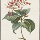 Floral Elegance III (Canvas)