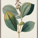 Floral Elegance V (Canvas)