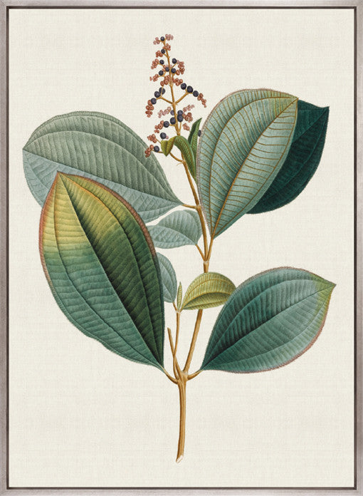 Floral Elegance V (Canvas)
