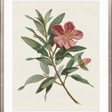 Floral Elegance VII