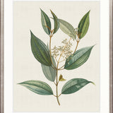 Floral Elegance VIII