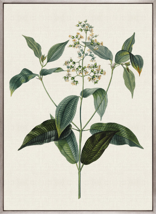 Floral Elegance IX (Canvas)