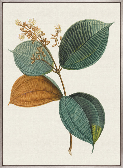 Floral Elegance XI (Canvas)