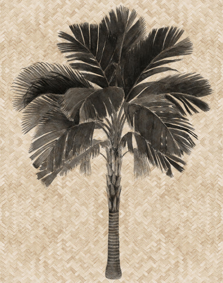 Yasawa Palm I
