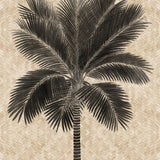 Yasawa Palm II