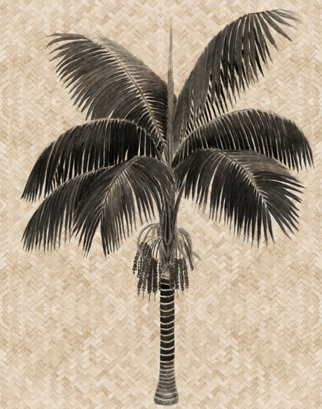 Yasawa Palm III