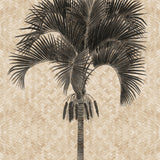 Yasawa Palm IV