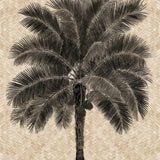 Yasawa Palm V