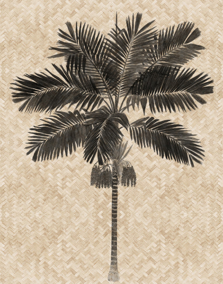 Yasawa Palm VI