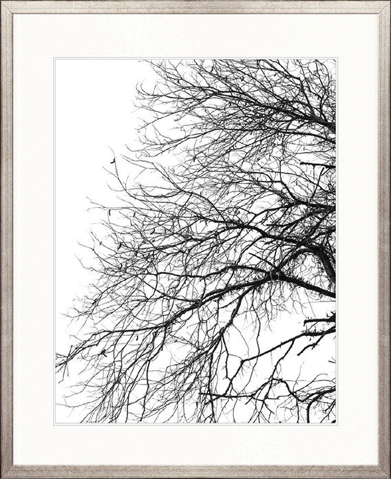 Tree Silhouette III