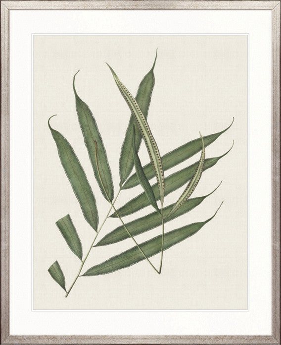 Exotic Foliage III