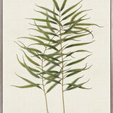Exotic Foliage IX (Canvas)