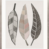 Eucalypt Menagerie IV
