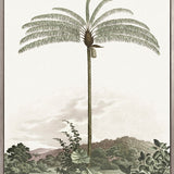Vintage Palm Study I (Canvas)