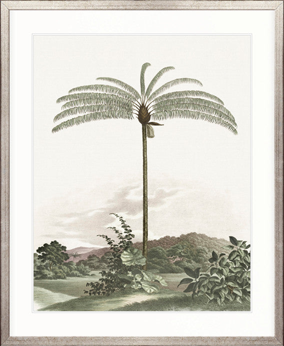 Vintage Palm Study I