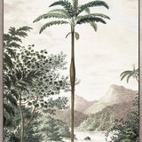 Vintage Palm Study II (Canvas)