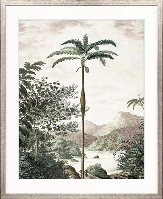 Vintage Palm Study II