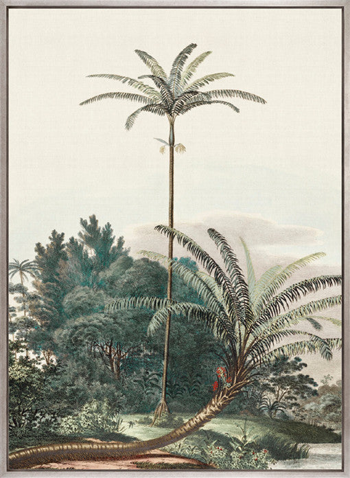 Vintage Palm Study III (Canvas)