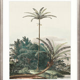 Vintage Palm Study III