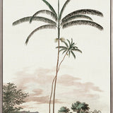 Vintage Palm Study IV (Canvas)