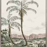 Vintage Palm Study V (Canvas)